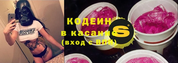 стафф Осинники