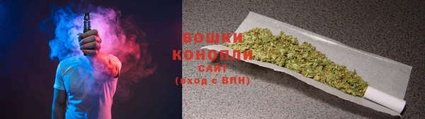 трава Белокуриха