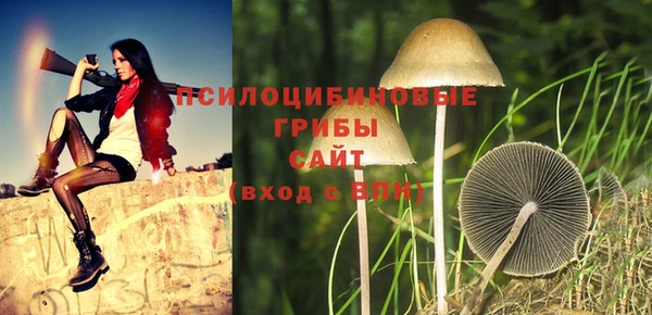 PSILOCYBIN Богородск