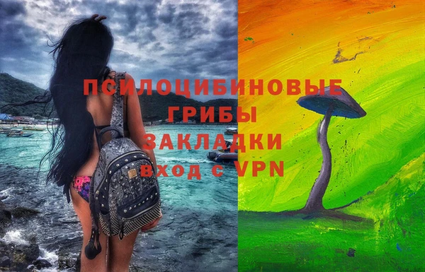трава Белокуриха