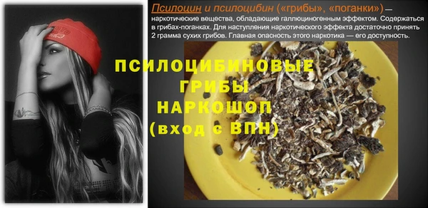 трава Белокуриха