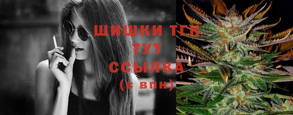 шишки Богданович